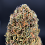 Cherry Punch Flash OZ Deal indoor cannabis flower featuring Cherry AK-47 and Purple Punch genetics available through Exotic Blooms Washington DC cannabis delivery.