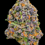 Frosty purple Cut Throat Kandy flower with sugary vanilla-cake flavor available in Northern Virginia