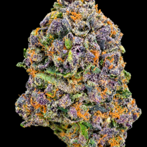 Frosty purple Cut Throat Kandy flower with sugary vanilla-cake flavor available in Northern Virginia