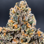 Frosty purple Cut Throat Kandy flower with sugary vanilla-cake flavor available in Northern Virginia
