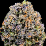 Frosty purple Cut Throat Kandy flower with sugary vanilla-cake flavor available in Northern Virginia