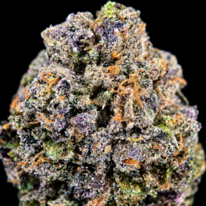 Frosty purple Cut Throat Kandy flower with sugary vanilla-cake flavor available in Northern Virginia