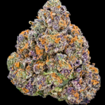 Premium Purple Jealousy flower buds by Exotic Blooms, showcasing dense trichomes and purple hues, perfect for connoisseurs in DC and Virginia.