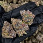 Premium Purple Jealousy flower buds by Exotic Blooms, showcasing dense trichomes and purple hues, perfect for connoisseurs in DC and Virginia.