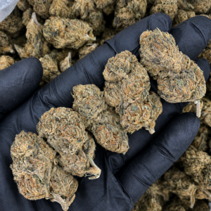 Fire OG Flash OZ Deal indoor cannabis flower featuring OG Kush and SFV OG Kush genetics available through Exotic Blooms Washington DC cannabis delivery.