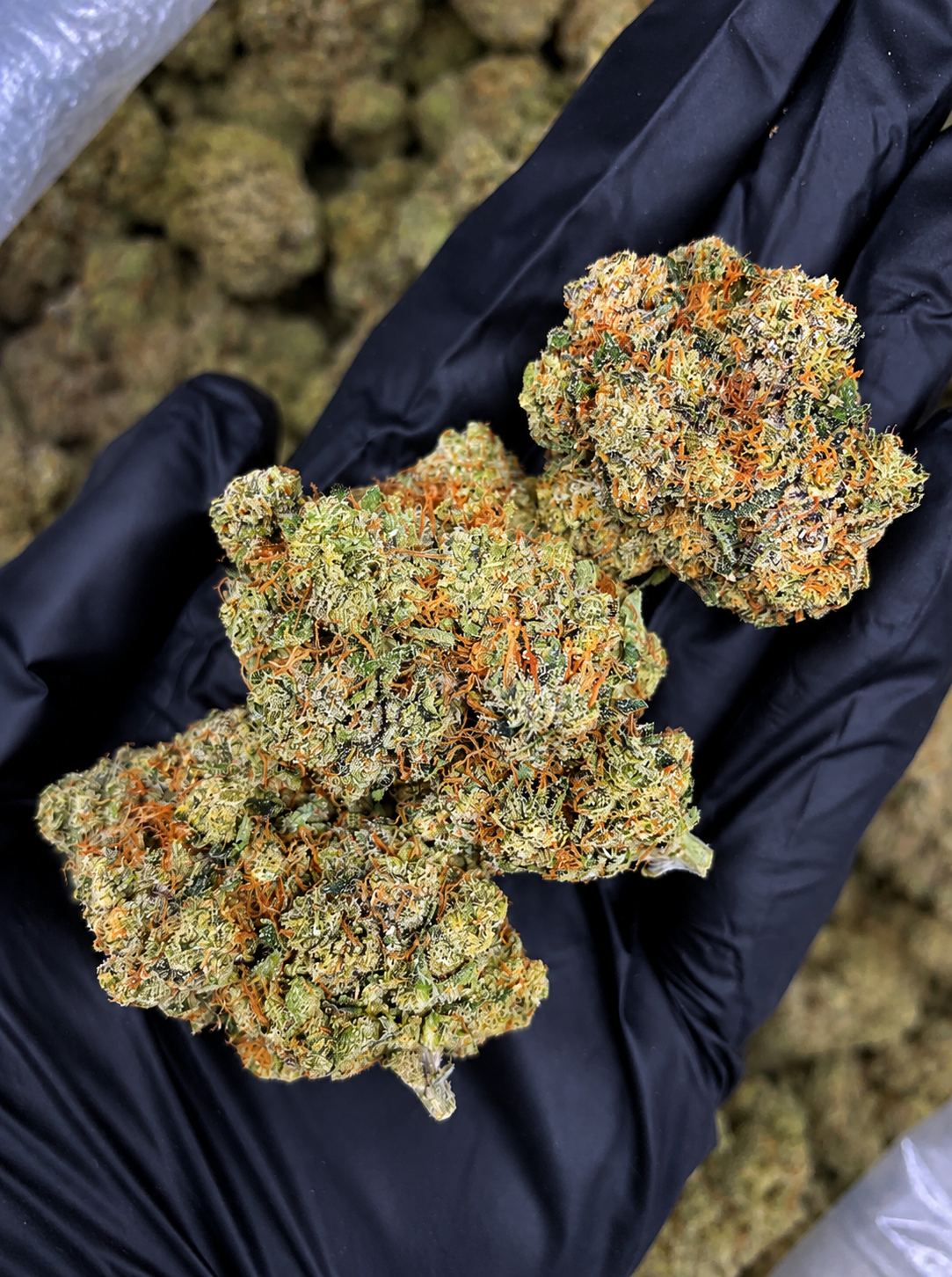Premium indoor Headband OG hybrid flower with frosty green buds and orange pistils available for Northern Virginia weed delivery
