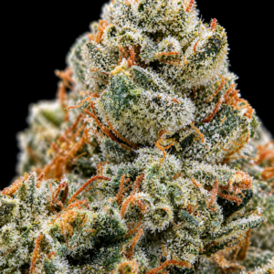 Premium indoor Headband OG hybrid flower with frosty green buds and orange pistils available for Northern Virginia weed delivery