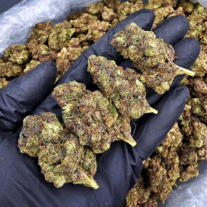 Pink Mist Sativa-Dominant Hybrid 21-26% THC Exotic Blooms Weed Delivery Washington DC Virginia Maryland Richmond VA