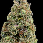 Red Sharpie indica Oz Deal flower with dense purple and green buds available for Washington DC and Northern Virginia cannabis delivery