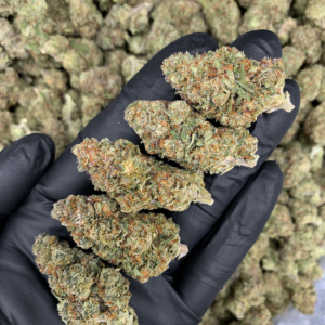 Red Sharpie indica Oz Deal flower with dense purple and green buds available for Washington DC and Northern Virginia cannabis delivery