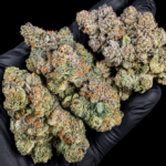 Slusherz indica-leaning hybrid flower with dense purple-green buds and frosty trichomes available for DC and Virginia weed delivery
