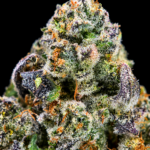 Slusherz indica-leaning hybrid flower with dense purple-green buds and frosty trichomes available for DC and Virginia weed delivery