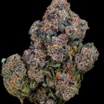 Umami Butter by Maven Genetics Super Rare indica-dominant flower available in Washington DC and Virginia