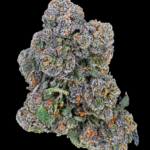Umami Butter by Maven Genetics Super Rare indica-dominant flower available in Washington DC and Virginia