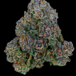 Umami Butter by Maven Genetics Super Rare indica-dominant flower available in Washington DC and Virginia