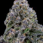Umami Butter by Maven Genetics Super Rare indica-dominant flower available in Washington DC and Virginia