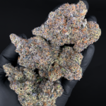 Massive trichome-covered Blueberry Sugar nugs by G3 Cultivators, a 30%+ THC Super Rare hybrid available for Virginia cannabis delivery