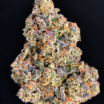 Massive trichome-covered Blueberry Sugar nugs by G3 Cultivators, a 30%+ THC Super Rare hybrid available for Virginia cannabis delivery