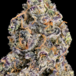 Massive trichome-covered Blueberry Sugar nugs by G3 Cultivators, a 30%+ THC Super Rare hybrid available for Virginia cannabis delivery