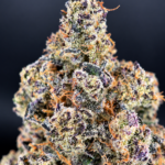 Massive trichome-covered Blueberry Sugar nugs by G3 Cultivators, a 30%+ THC Super Rare hybrid available for Virginia cannabis delivery