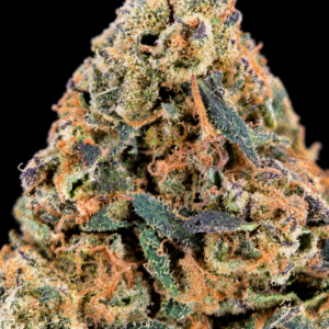 Electric Cherry premium indoor sativa-dominant flower with dense colorful nugs, orange pistils and crystalline trichomes available for Virginia weed delivery