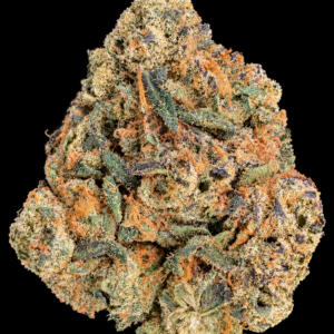 Electric Cherry premium indoor sativa-dominant flower with dense colorful nugs, orange pistils and crystalline trichomes available for Virginia weed delivery