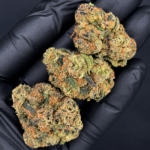 Electric Cherry premium indoor sativa-dominant flower with dense colorful nugs, orange pistils and crystalline trichomes available for Virginia weed delivery