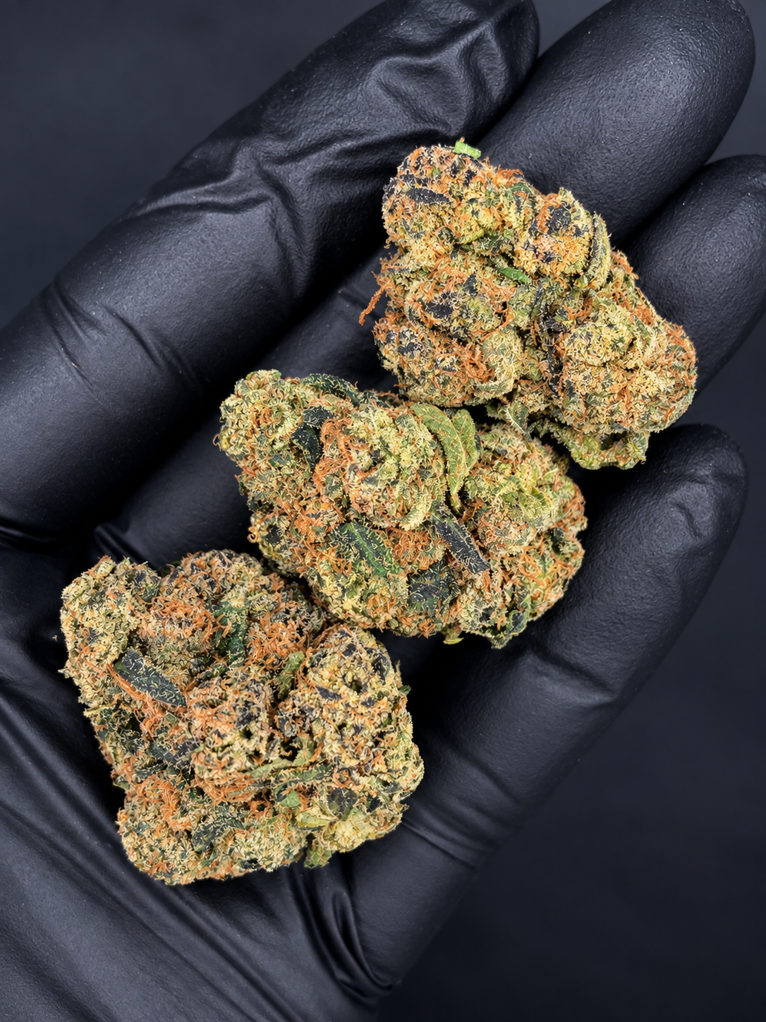 Electric Cherry premium indoor sativa-dominant flower with dense colorful nugs, orange pistils and crystalline trichomes available for Virginia weed delivery