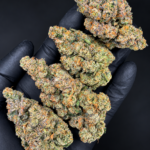 First Class Gas by G3 Cultivators, a Super Rare 80/20 indica-dominant flower with over 30% THC, available for cannabis delivery in Washington DC and Northern Virginia.