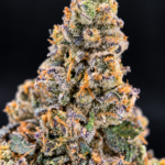 First Class Gas by G3 Cultivators, a Super Rare 80/20 indica-dominant flower with over 30% THC, available for cannabis delivery in Washington DC and Northern Virginia.