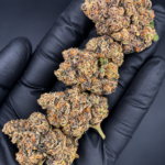 Frog’s Poison by G3 Cultivators, a potent indica-heavy indoor strain with Animal Face and Sin Mintz genetics, available through Exotic Blooms in Washington DC and Virginia.