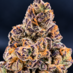 Frog’s Poison by G3 Cultivators, a potent indica-heavy indoor strain with Animal Face and Sin Mintz genetics, available through Exotic Blooms in Washington DC and Virginia.