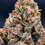Frog’s Poison by G3 Cultivators, a potent indica-heavy indoor strain with Animal Face and Sin Mintz genetics, available through Exotic Blooms in Washington DC and Virginia.