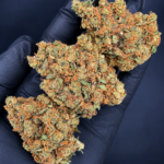 Future X aged indoor sativa-leaning hybrid available at a reduced Flash Oz Deal price for Washington DC and Virginia weed delivery