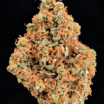 Future X aged indoor sativa-leaning hybrid available at a reduced Flash Oz Deal price for Washington DC and Virginia weed delivery