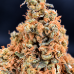 Future X aged indoor sativa-leaning hybrid available at a reduced Flash Oz Deal price for Washington DC and Virginia weed delivery
