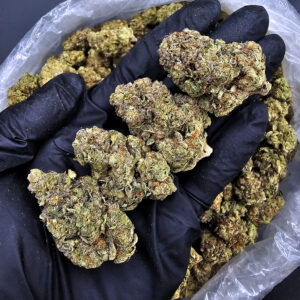Garlic Breath hybrid 22-26% THC cannabis flower for Washington DC, Virginia, Maryland, and Richmond VA