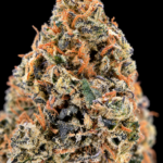 Green Crack sativa-dominant flower with dense green nugs, orange pistils and sparkling trichomes available as an Exotic Blooms Oz Deal for Virginia weed delivery