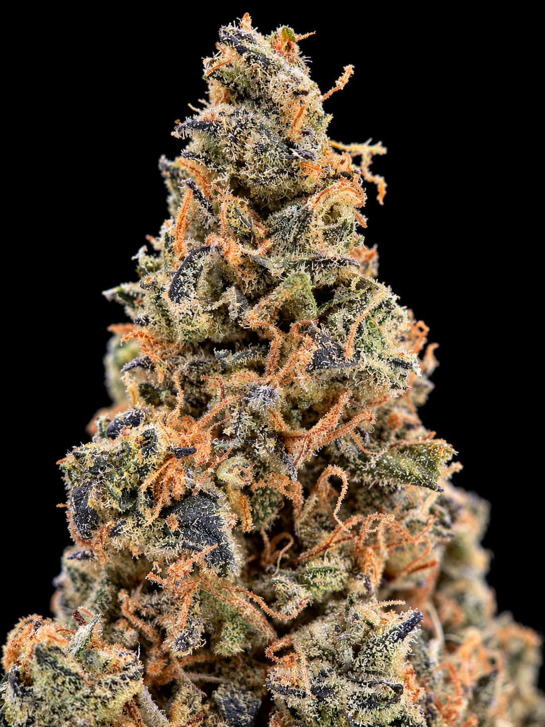 Green Crack sativa-dominant flower with dense green nugs, orange pistils and sparkling trichomes available as an Exotic Blooms Oz Deal for Virginia weed delivery