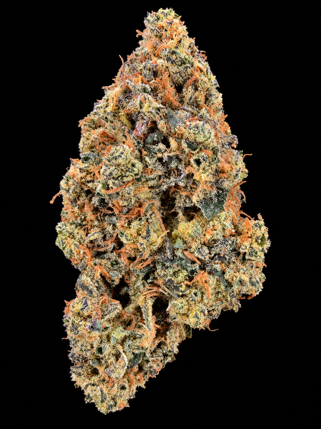 Green Crack sativa-dominant flower with dense green nugs, orange pistils and sparkling trichomes available as an Exotic Blooms Oz Deal for Virginia weed delivery