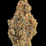 Green Crack sativa-dominant flower with dense green nugs, orange pistils and sparkling trichomes available as an Exotic Blooms Oz Deal for Virginia weed delivery