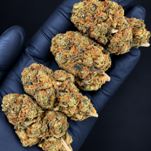 Lemon OG aged indoor hybrid flower available at a reduced Flash Oz Deal price for Washington DC and Virginia weed delivery