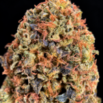 Lemon OG aged indoor hybrid flower available at a reduced Flash Oz Deal price for Washington DC and Virginia weed delivery