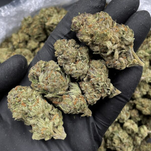OG Kush Sativa-Dominant Hybrid 20-26% THC Exotic Blooms Weed Delivery Washington DC Virginia Maryland Richmond VA