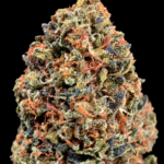 OG Loto properly stored aged indoor balanced hybrid flower available as an Exotic Blooms Flash Oz Deal for Washington DC and Virginia delivery