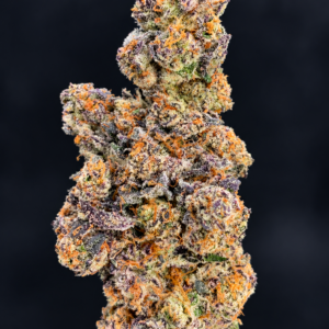 Purple and green P85 flower by G3 Cultivators with orange pistils and dense trichomes available for Virginia weed delivery