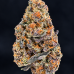 Purple and green P85 flower by G3 Cultivators with orange pistils and dense trichomes available for Virginia weed delivery