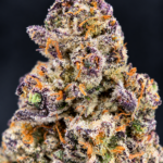 Purple and green P85 flower by G3 Cultivators with orange pistils and dense trichomes available for Virginia weed delivery