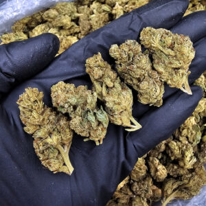 Sour Breath Sativa-Dominant Hybrid 21-26% THC Exotic Blooms Weed Delivery Washington DC Virginia Maryland Richmond VA