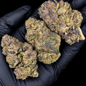 Tres Leches sativa-dominant hybrid with fluffy oversized nugs and milky trichomes available as an Exotic Blooms Oz Deal for Virginia weed delivery